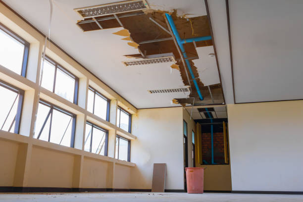 Best Water damage restoration experts  in Rancho Murieta, CA