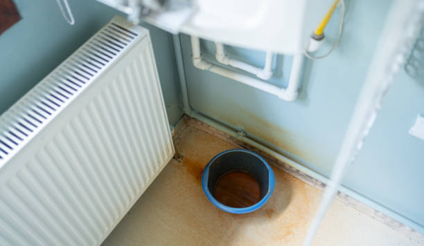 Best Ceiling water damage repair  in Rancho Murieta, CA