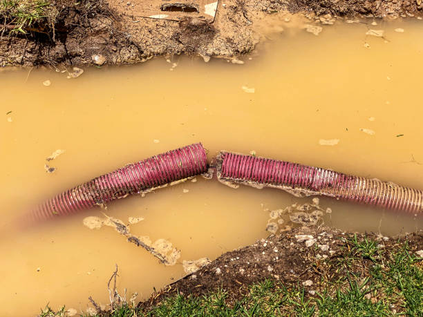  Rancho Murieta, CA Water damage restoration Pros
