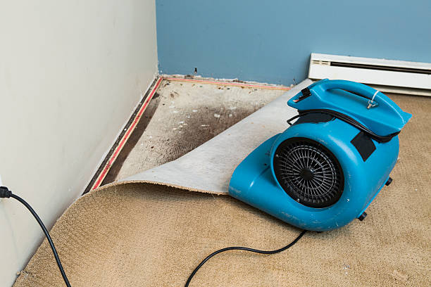 Best 24/7 water damage repair  in Rancho Murieta, CA